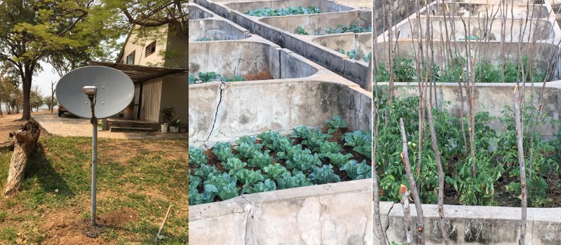 Building communications and plants