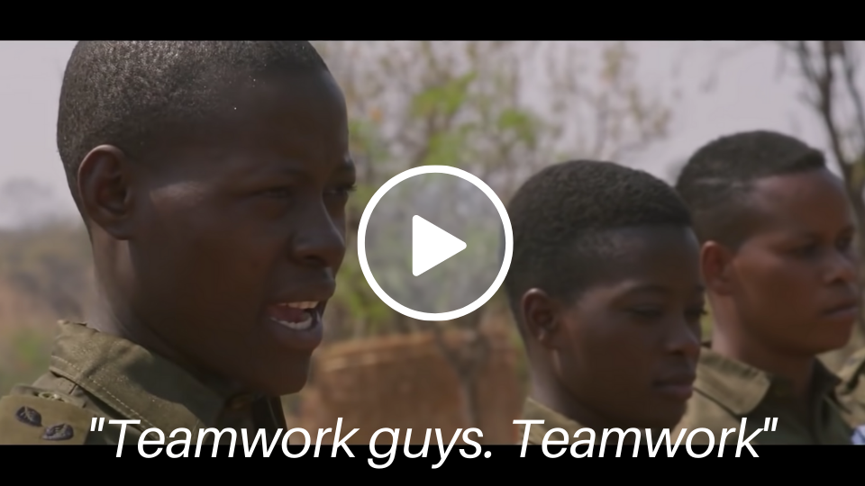Teamwork for training