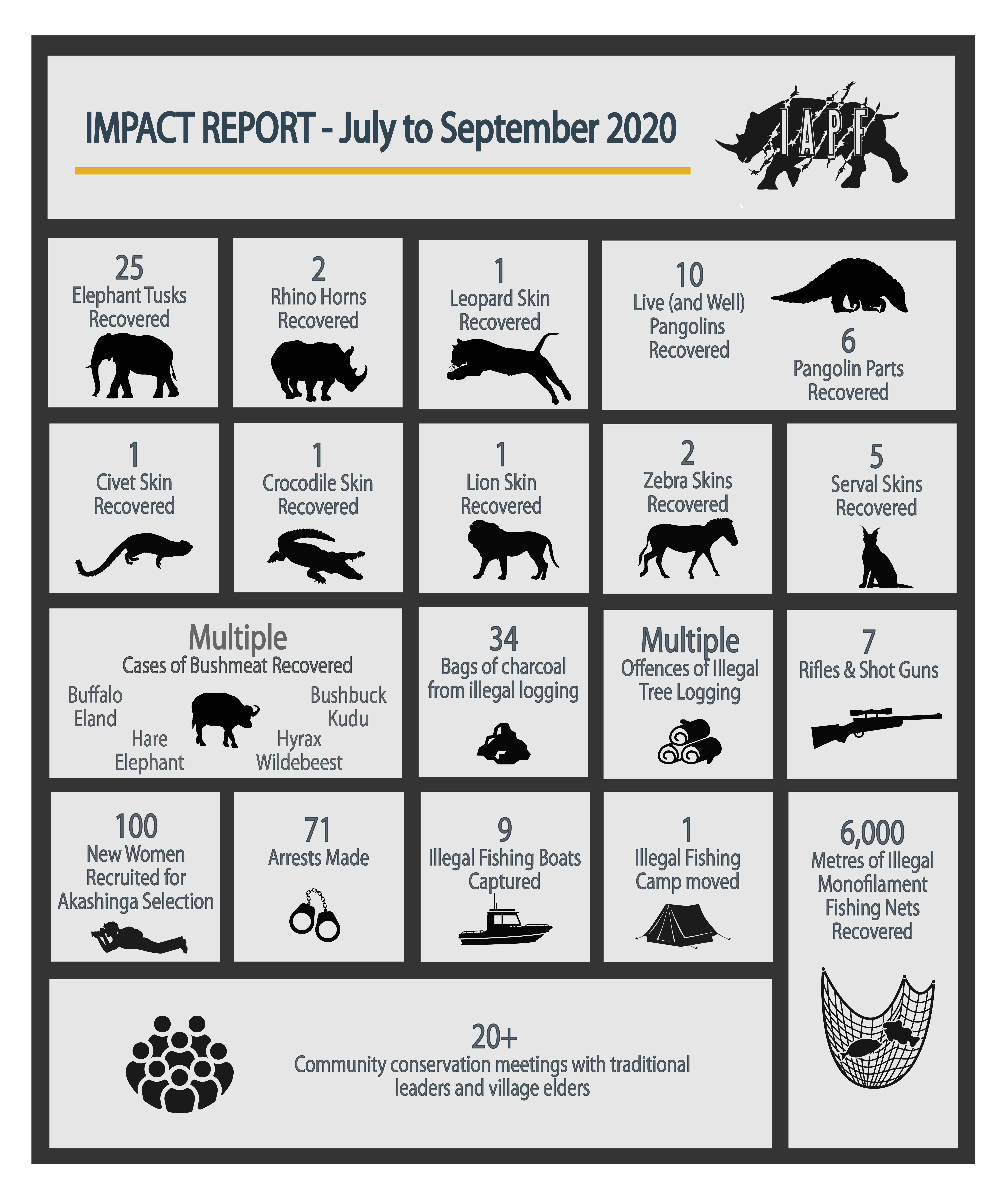 Impact Report for July to September 2020