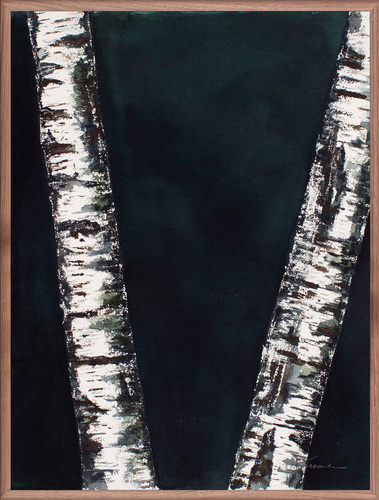 Birch 2
