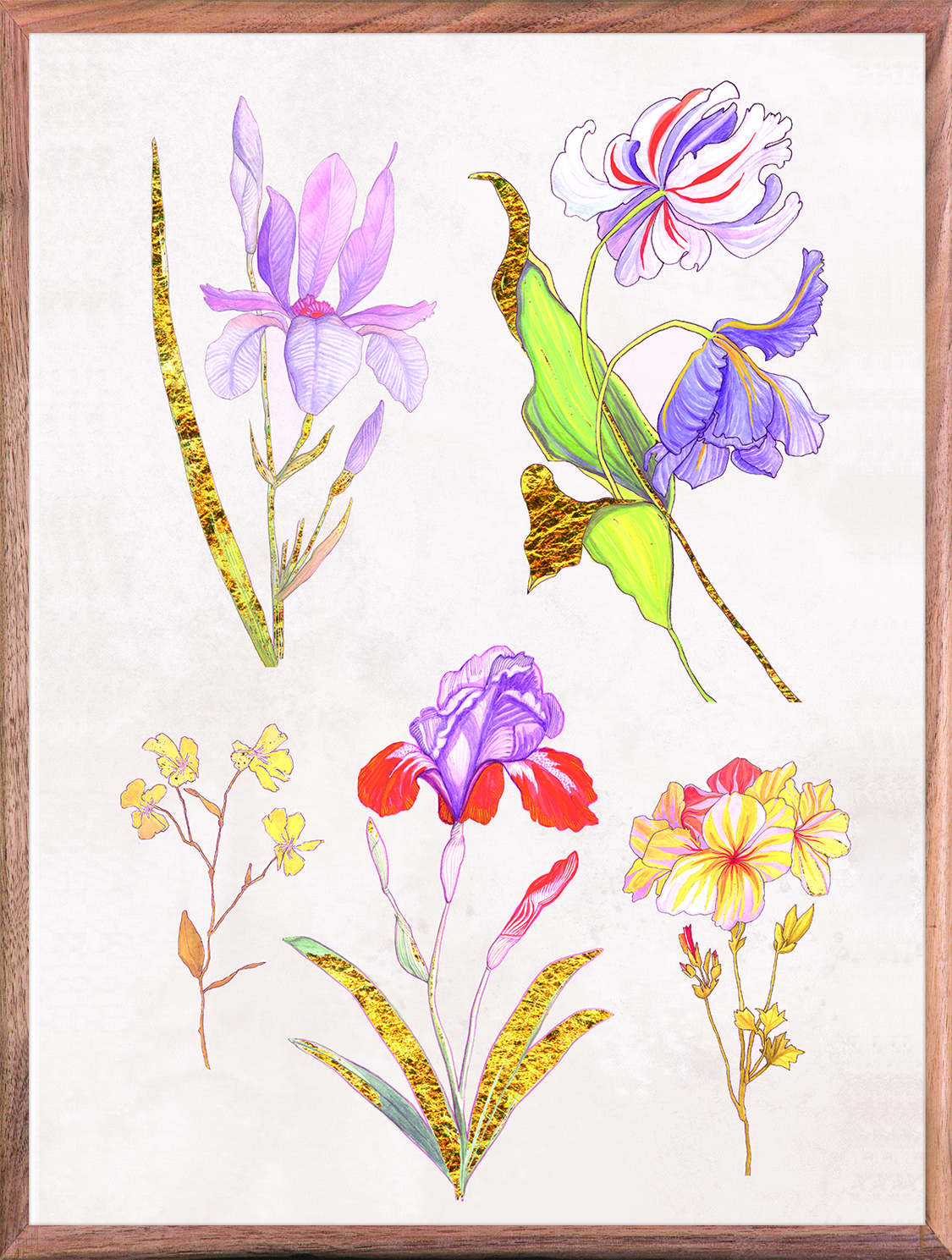 Ars Florae 1 Lavender