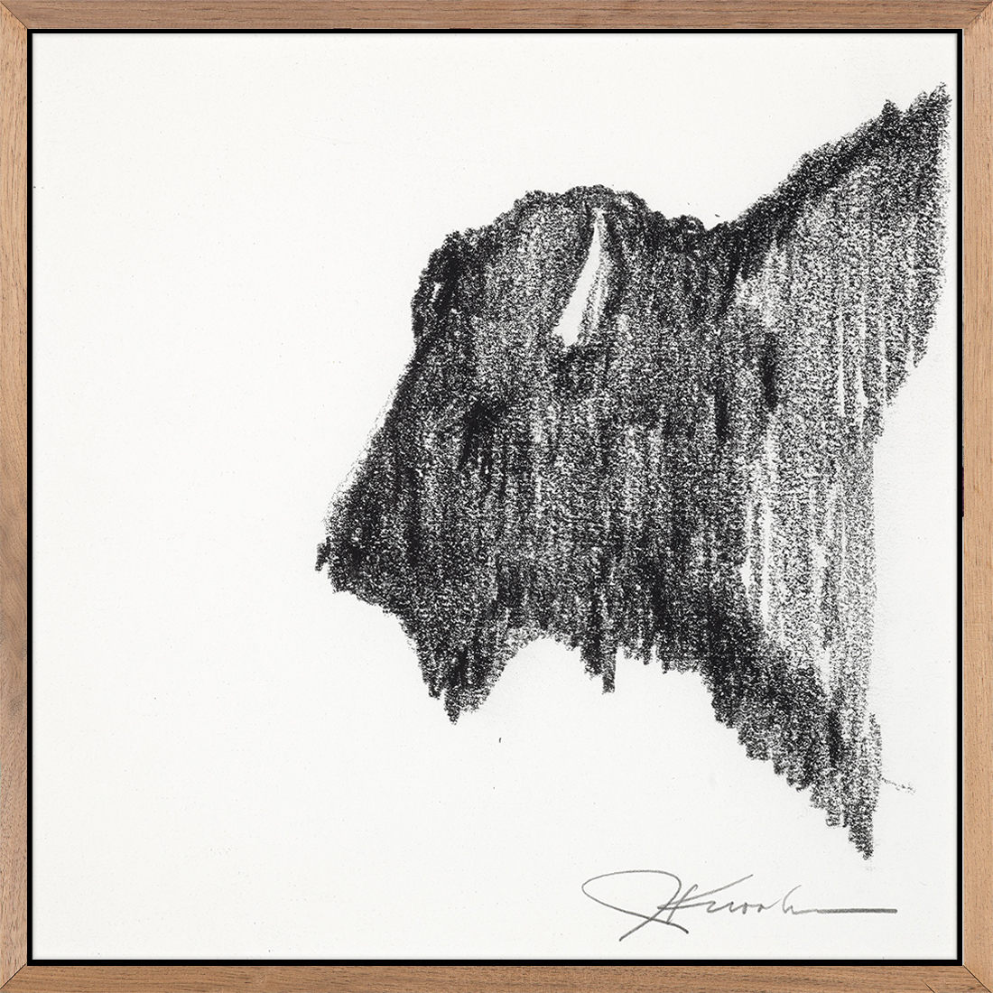 Bison Sketch 1