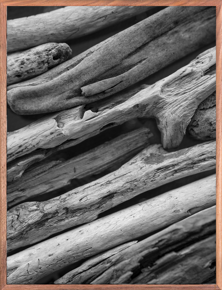 Bark 1