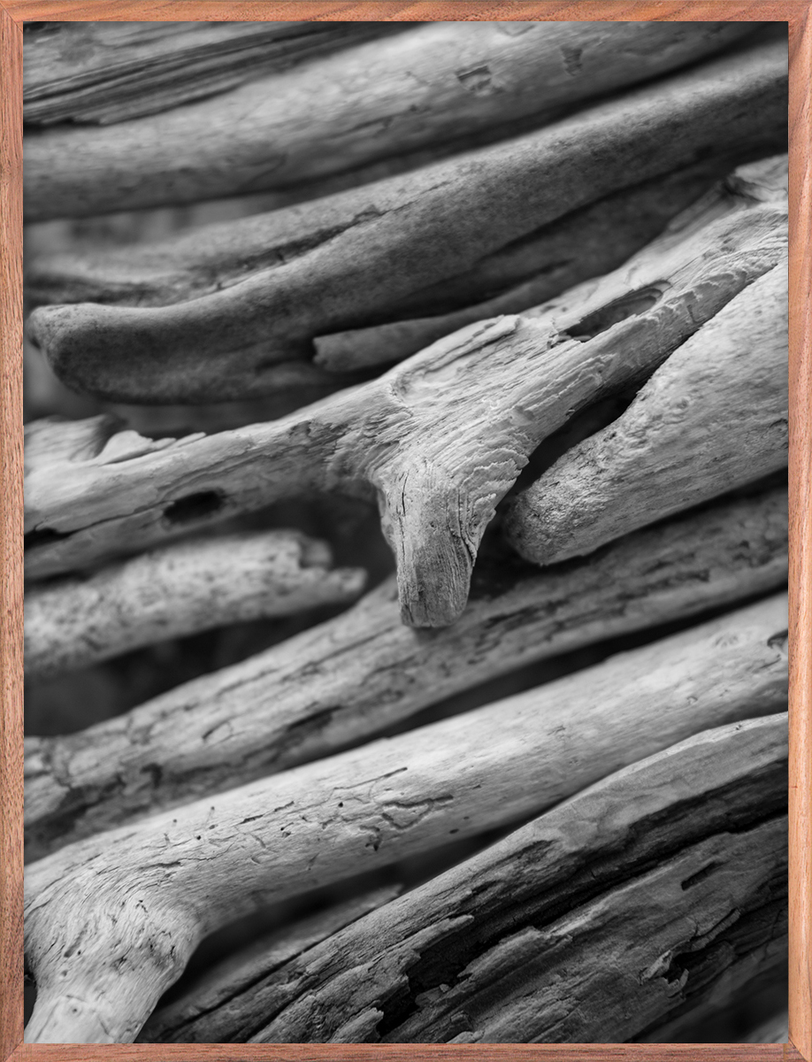 Bark 2