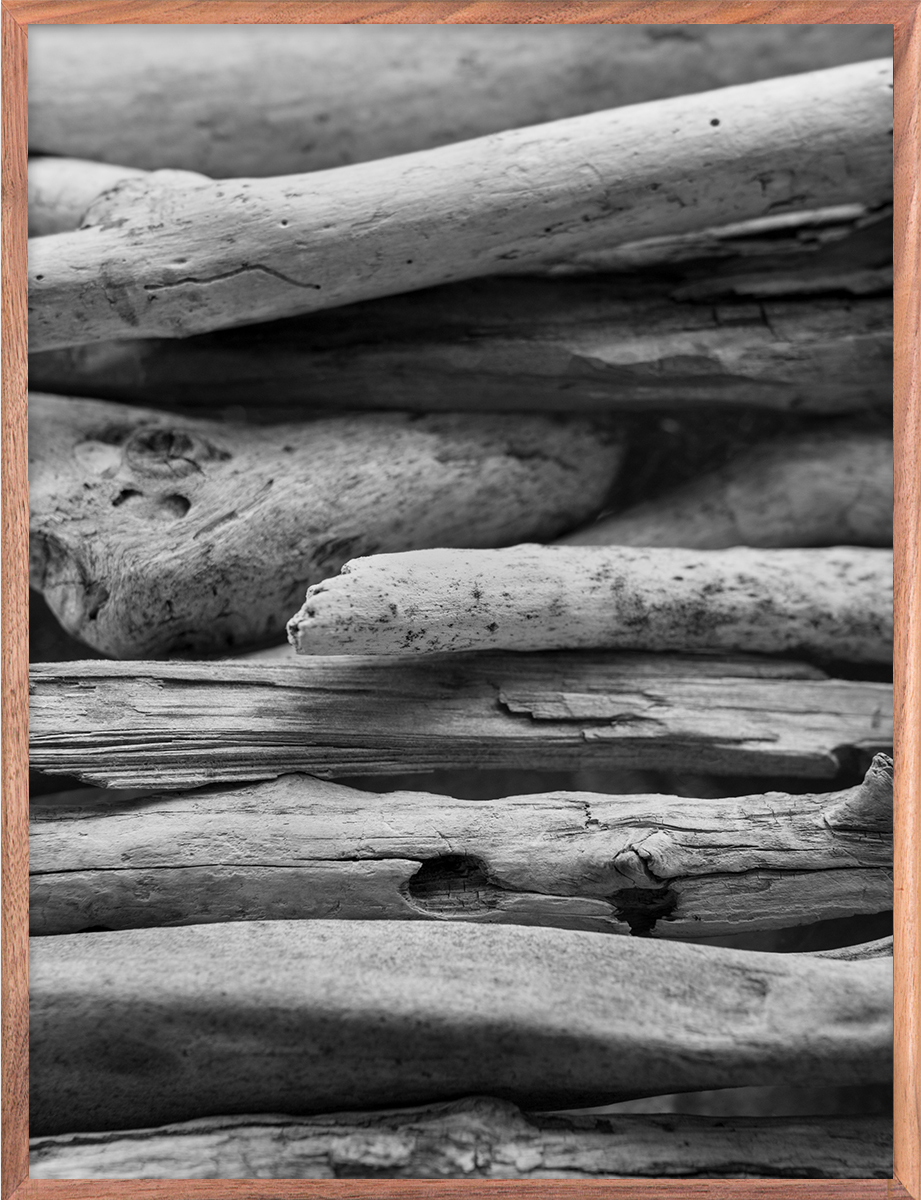 Bark 5