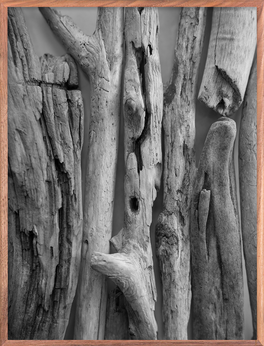 Bark 6