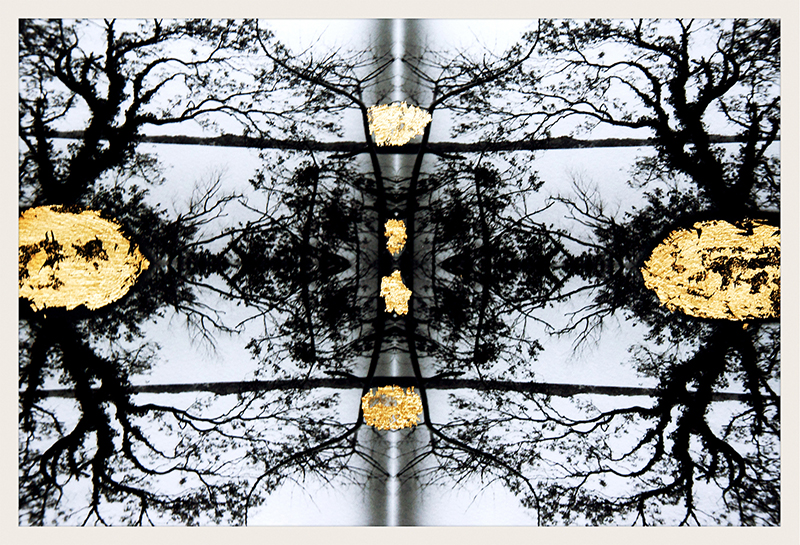 Antique Branches 3