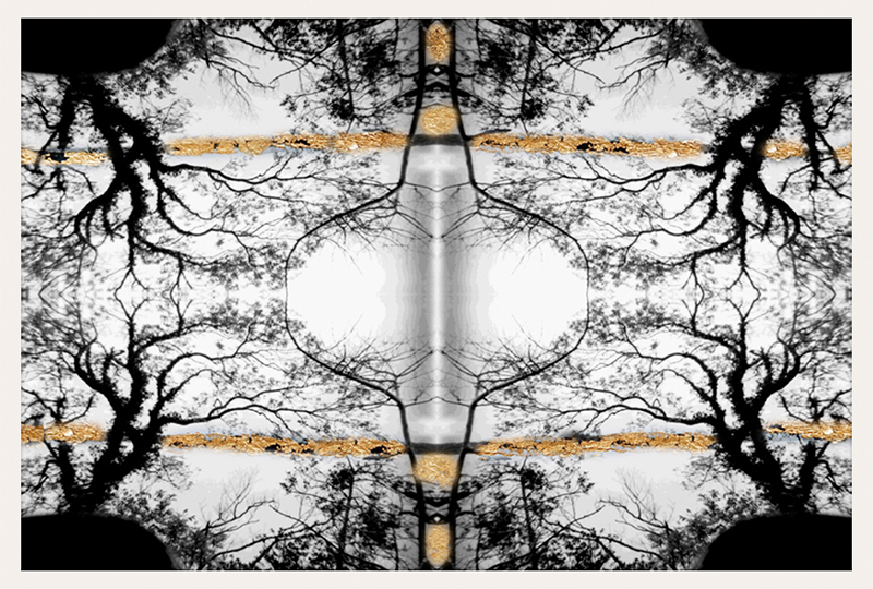 Antique Branches 4