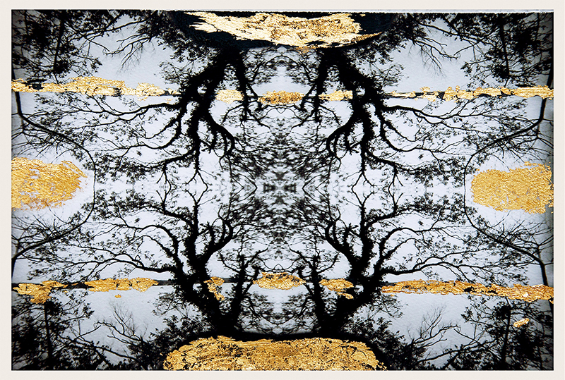 Antique Branches 1