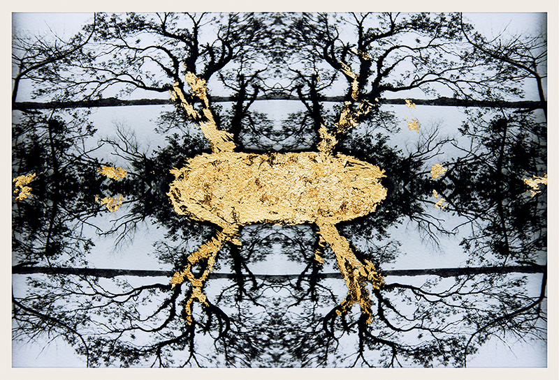 Antique Branches 2