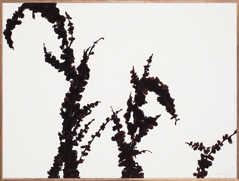 Black Vines 1