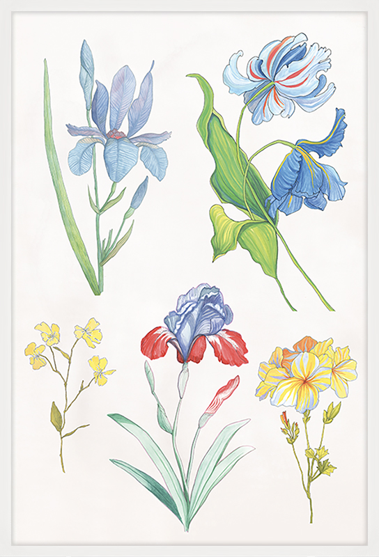 Ars Florae Aged 1