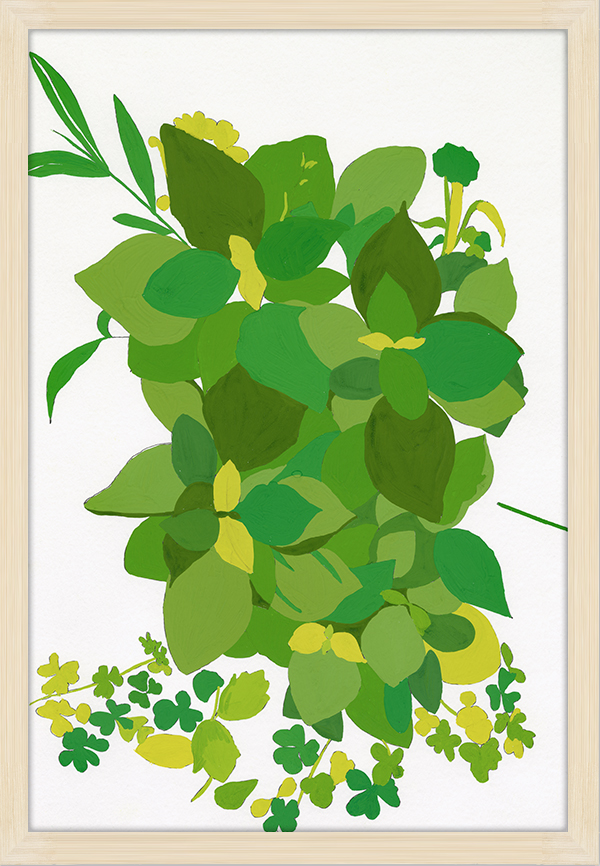 Basil