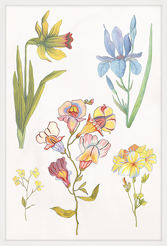 Ars Florae Aged 5