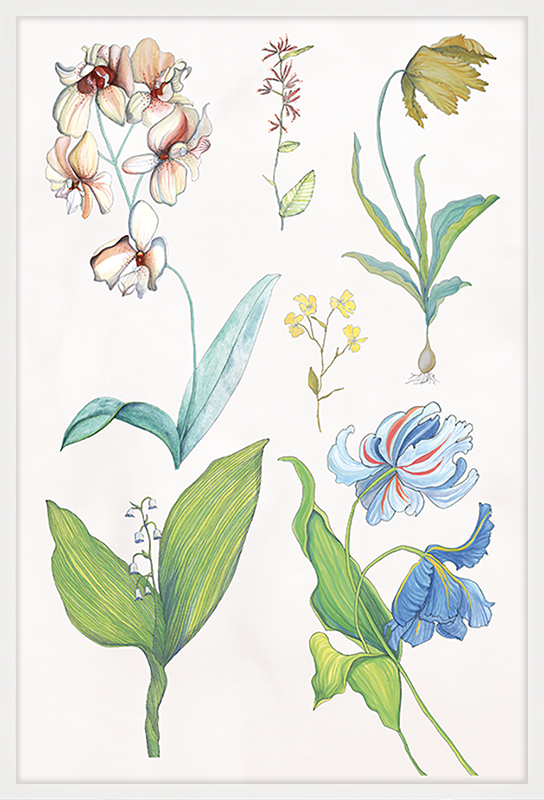 Ars Florae Aged 4