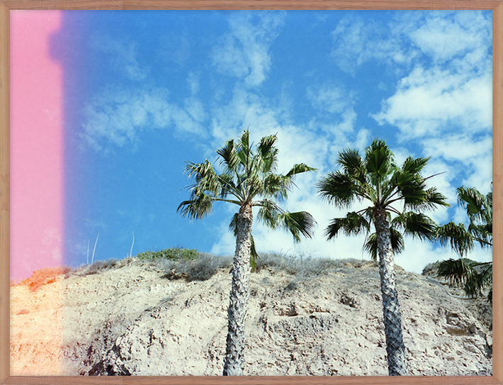 Secret Palms
