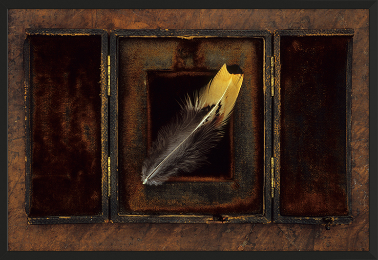 Fragility