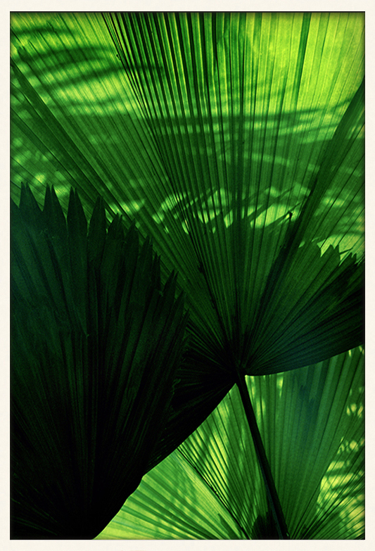Green Fans
