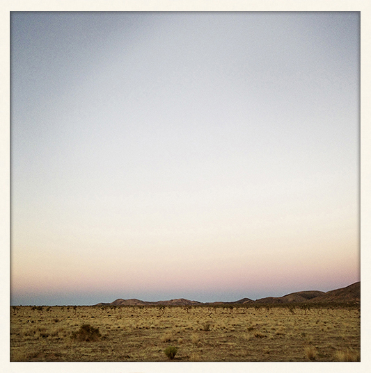 Desert Dusk