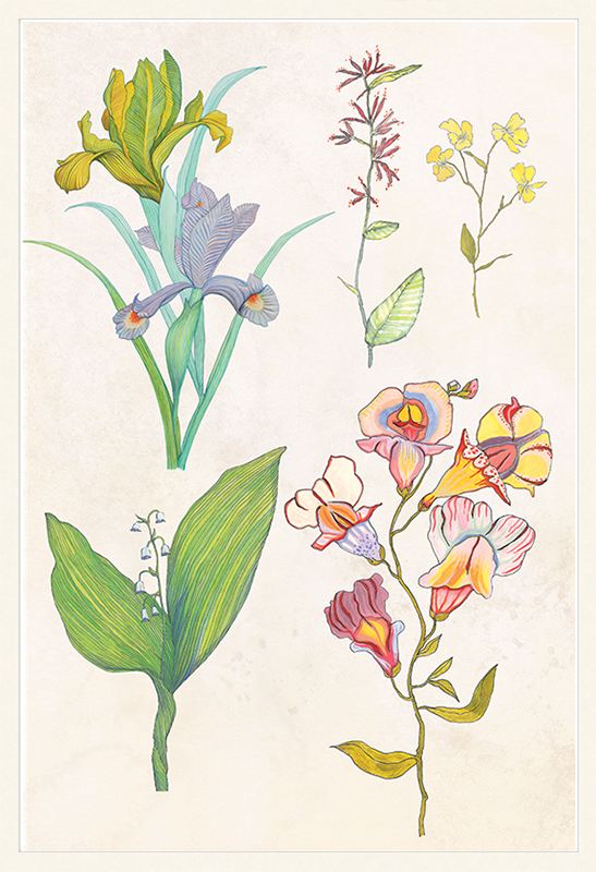 Ars Florae Aged 2