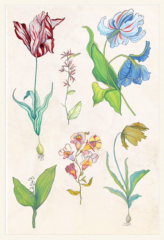 Ars Florae Aged 6
