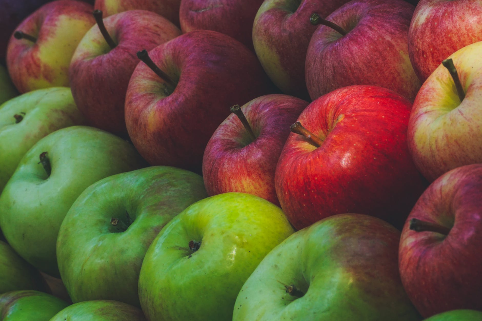 apples lined up in a row
