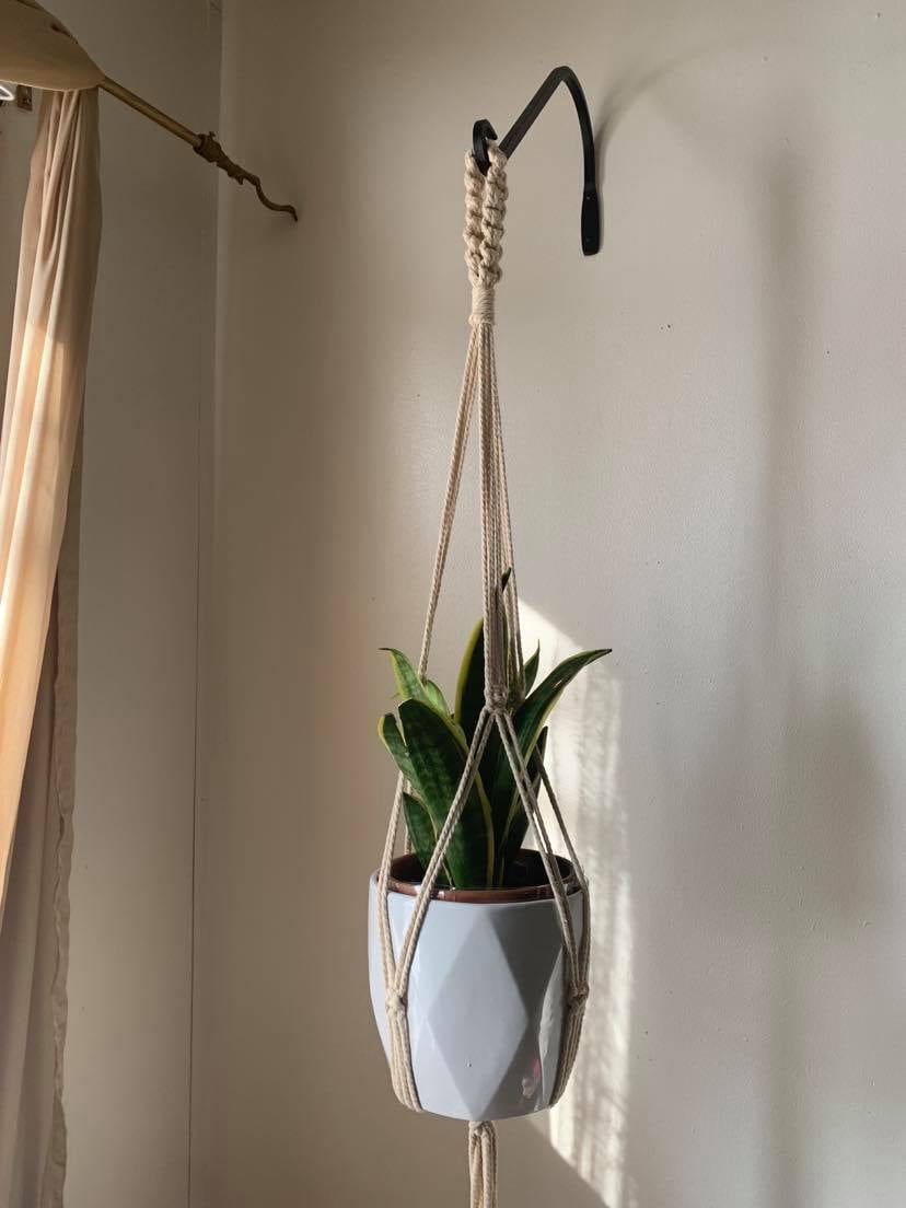 Costume EcoLiving Plant hange