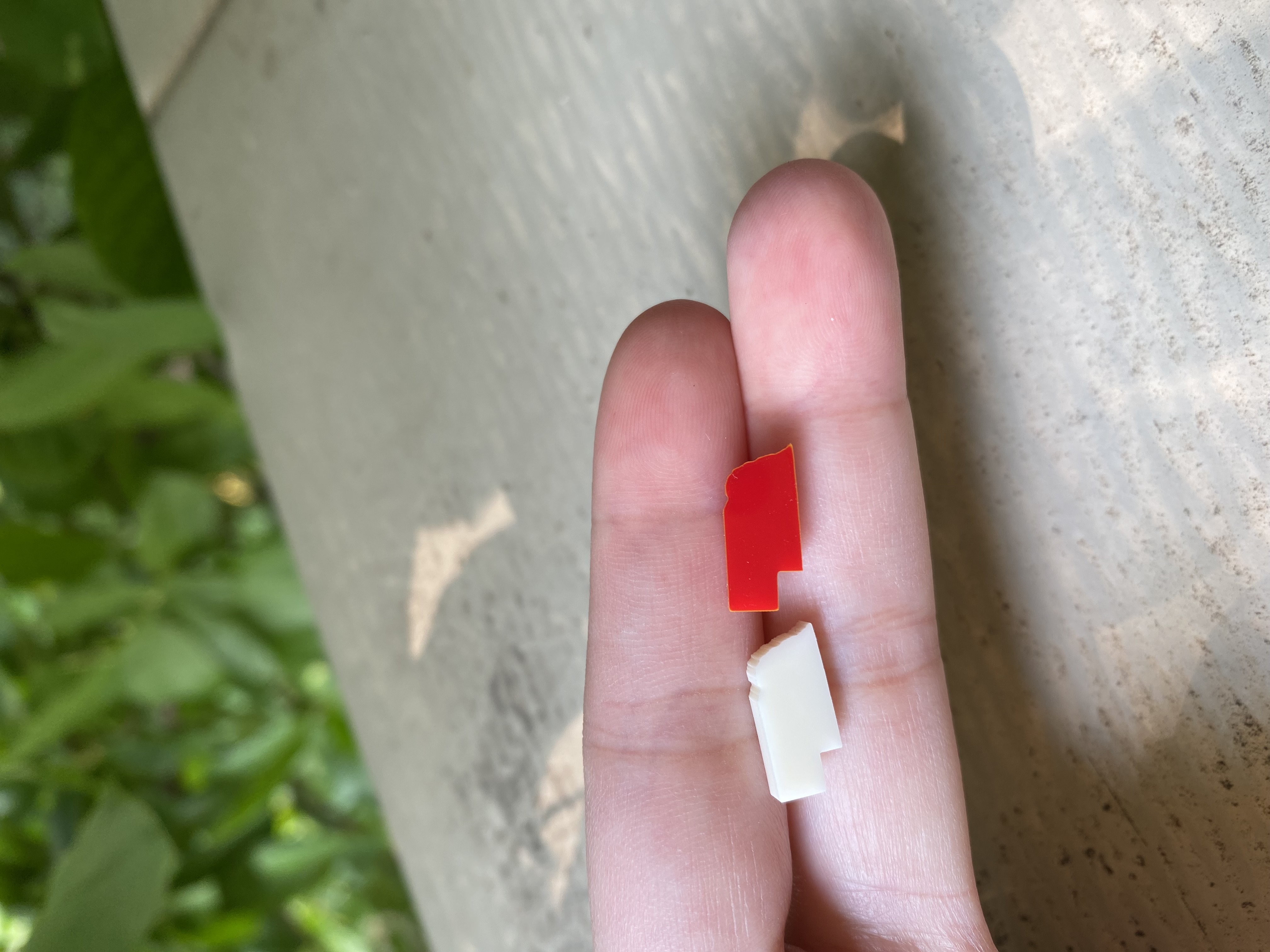 Tiny Nebraska state stud earrings;