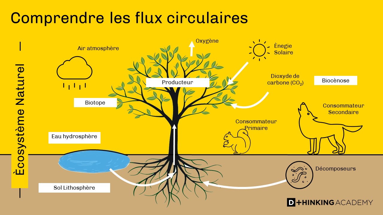 circular economy flow