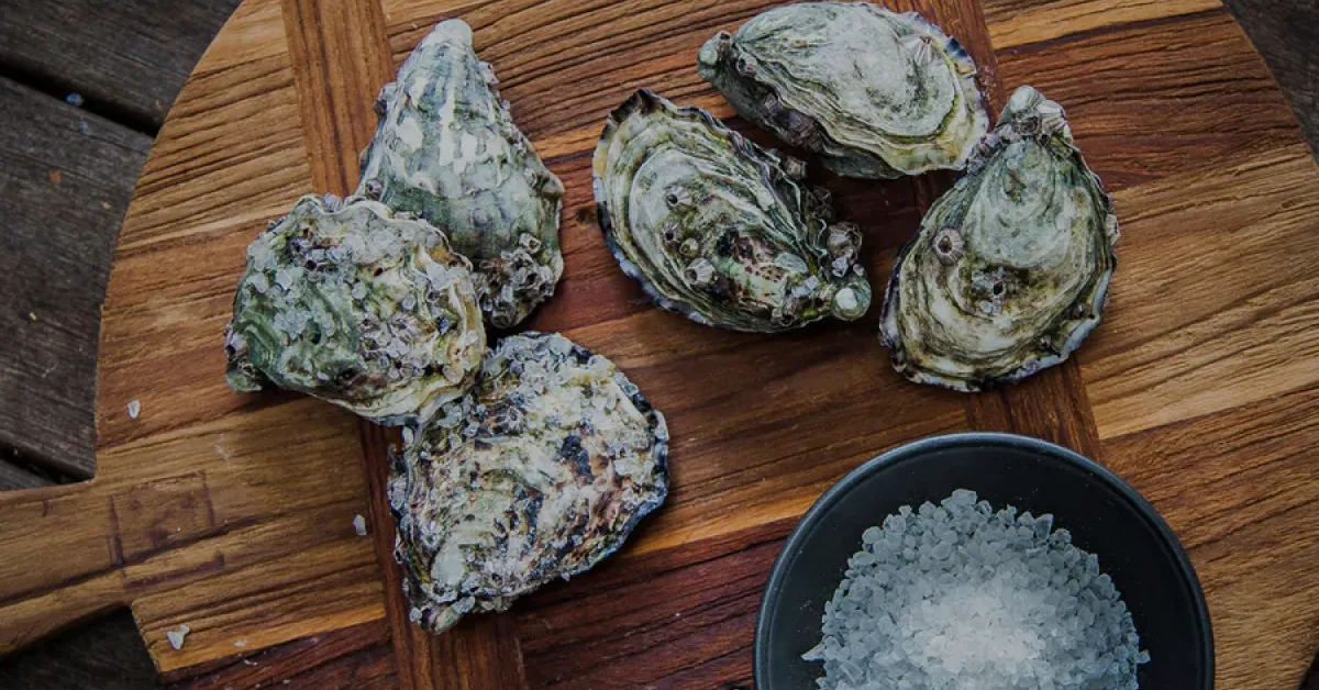 Coffin Bay Oysters Order Wholesale Online with Foodbomb