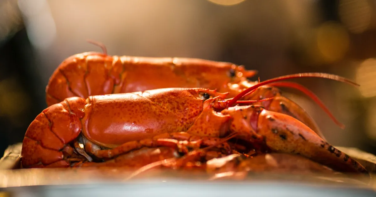 Clearwater Seafood Order Wholesale Online with Foodbomb