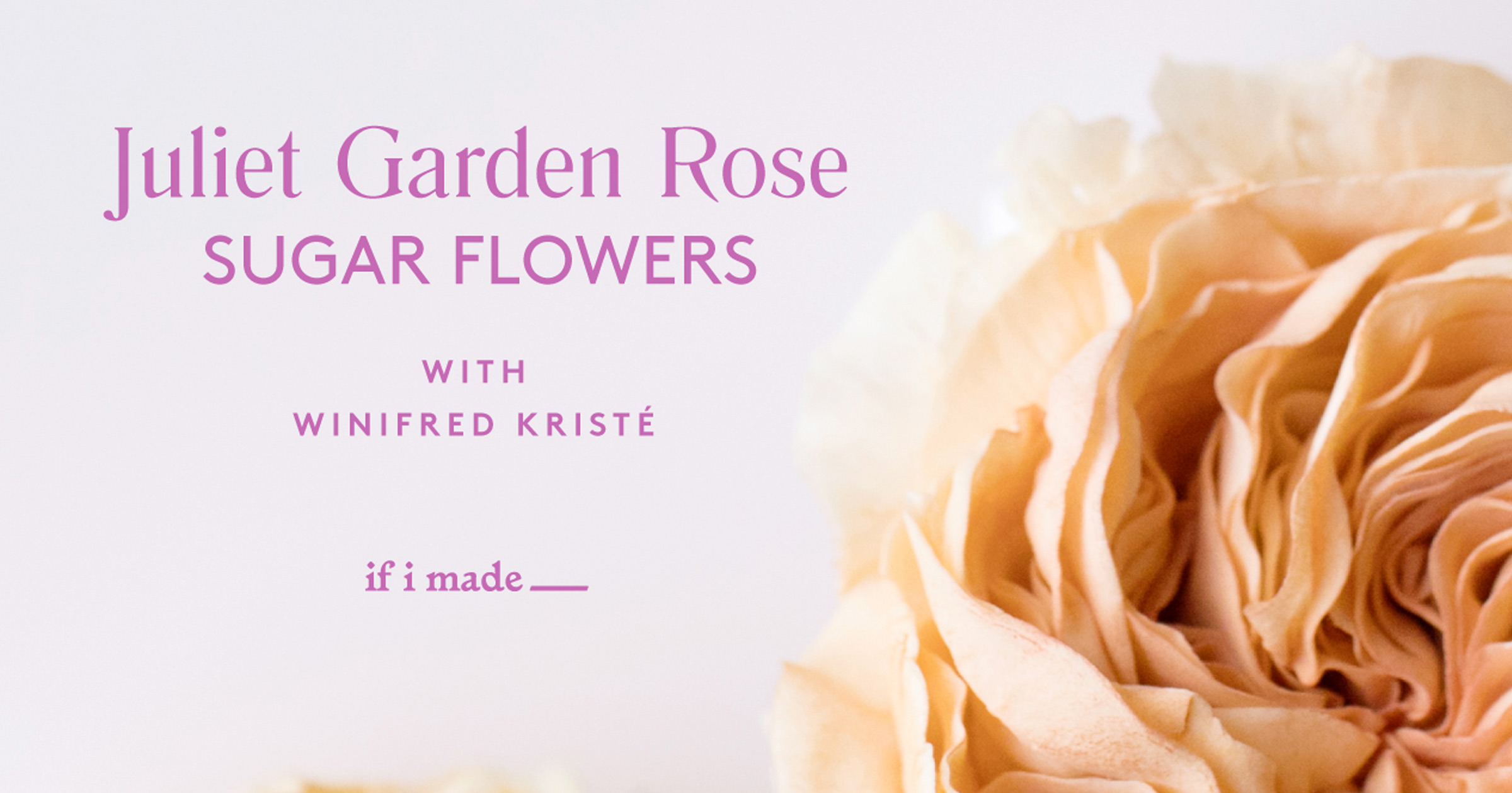 Juliet Garden Rose Sugar Flowers with Winifred Kristé | Live Class