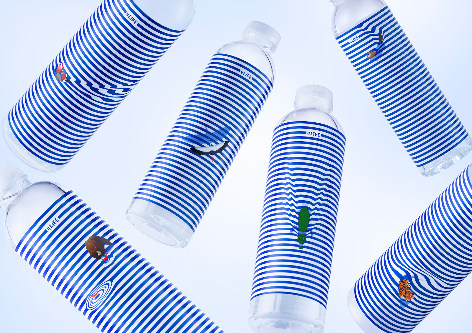 Label Design Ideas for Bottles