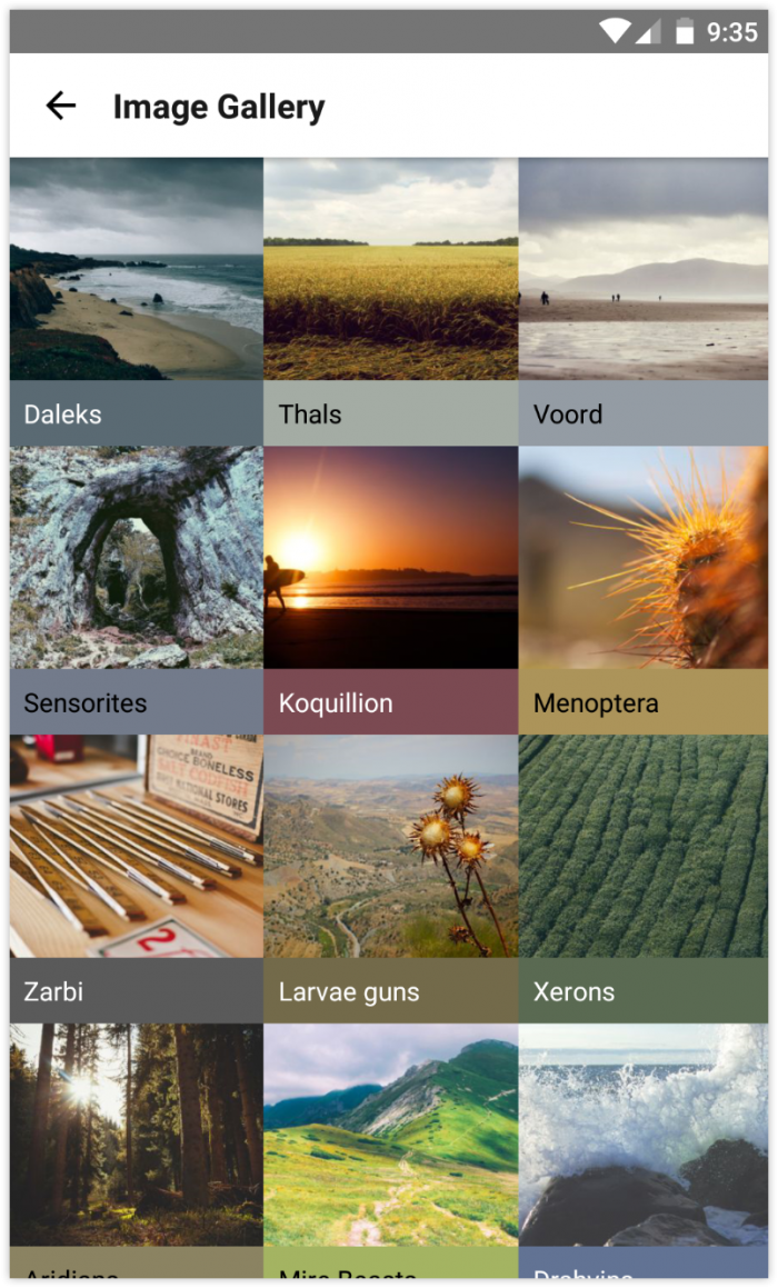 Image gallery library material pallet