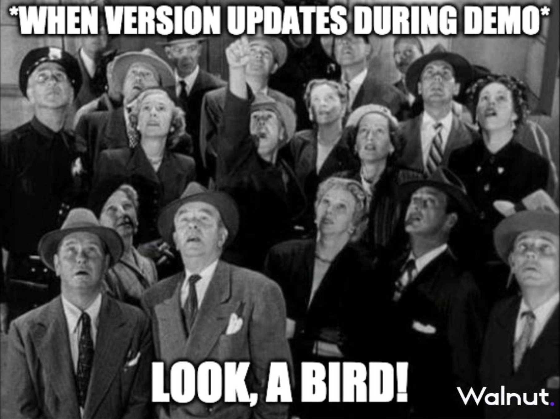 meme sales: version update demo