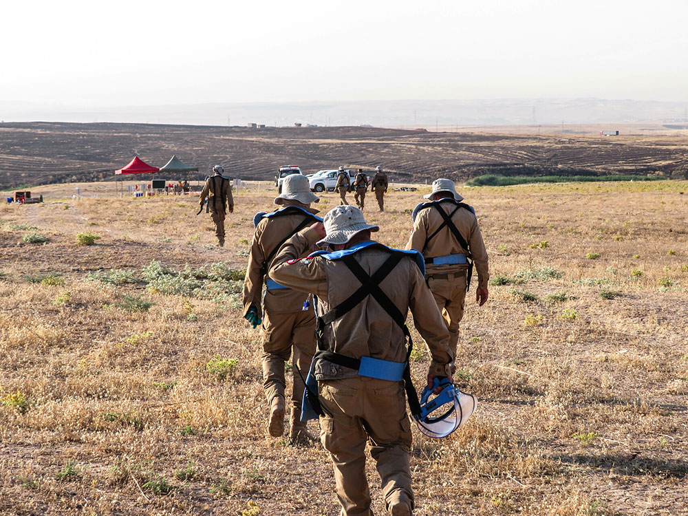 Back view of 3 deminers walking in the field