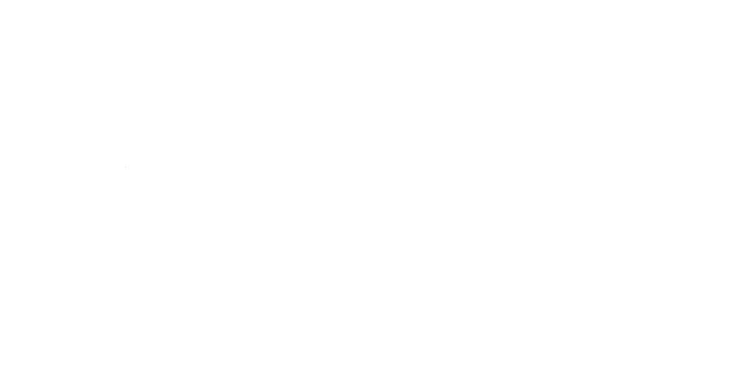 FSD Logo