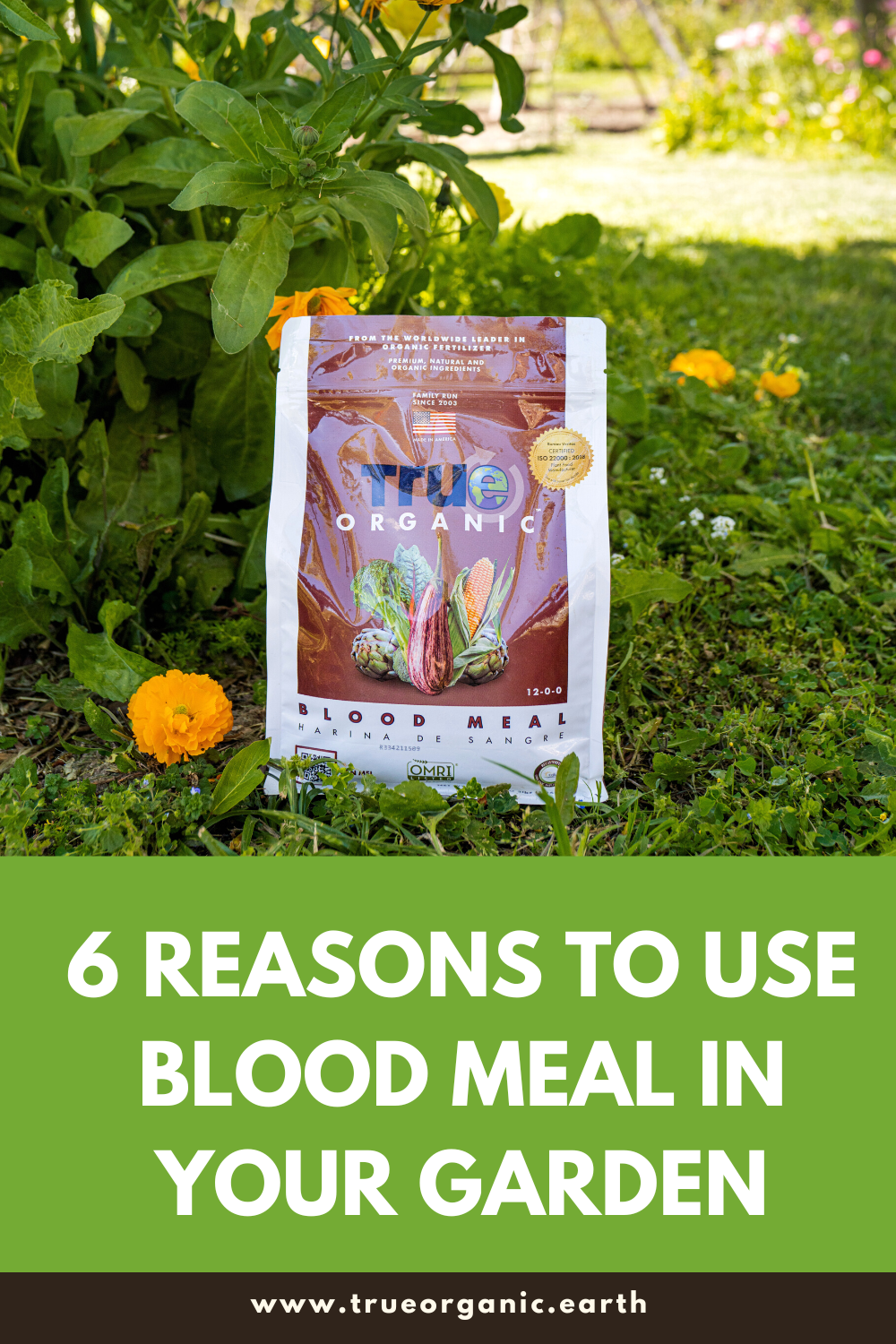 6 Reasons to Use Blood Meal in Your Garden
