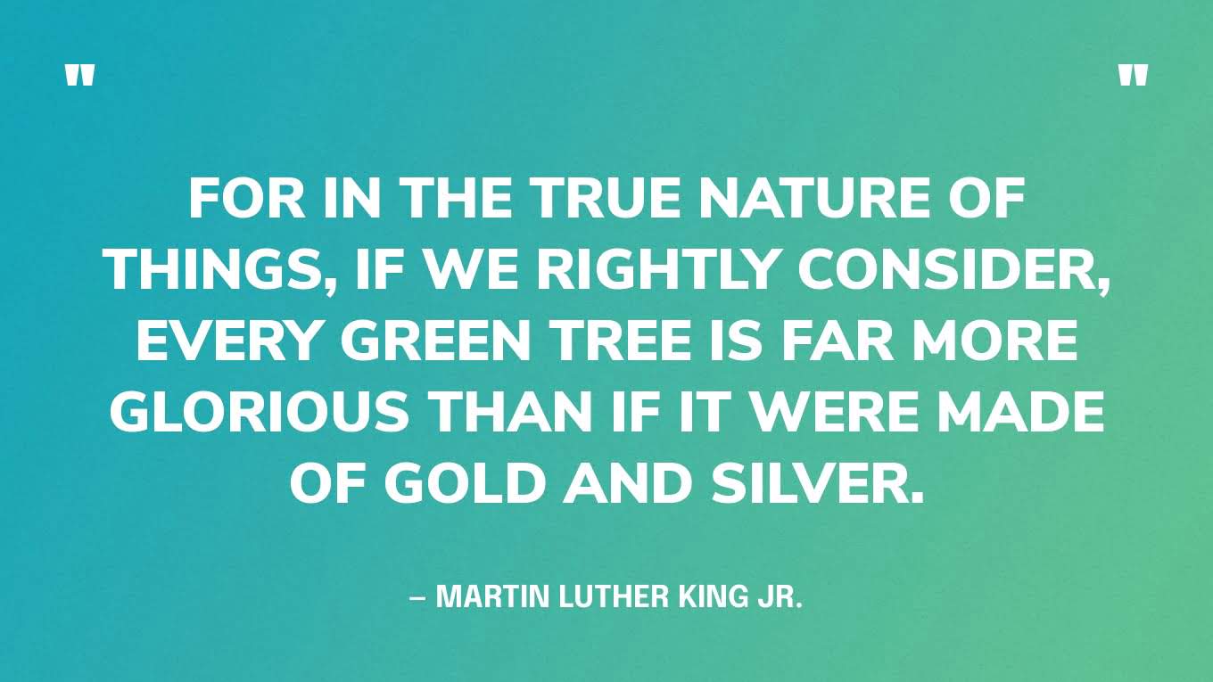 “For in the true nature of things, if we rightly consider, every green tree is far more glorious than if it were made of gold and silver.” — Martin Luther King Jr.