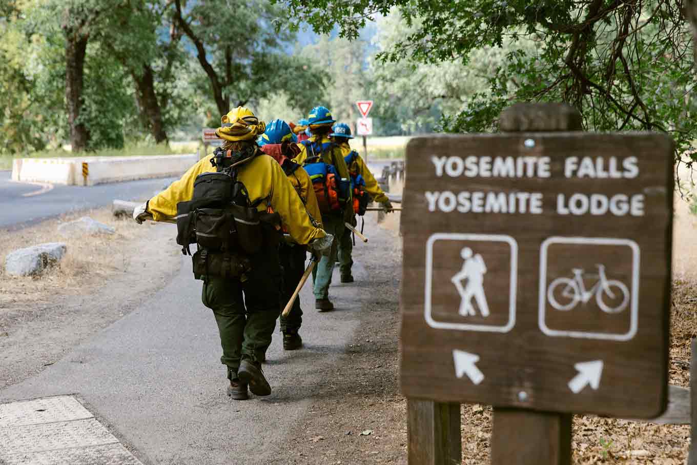 The all-women fire crew walk together in a line in Yosemite National Park