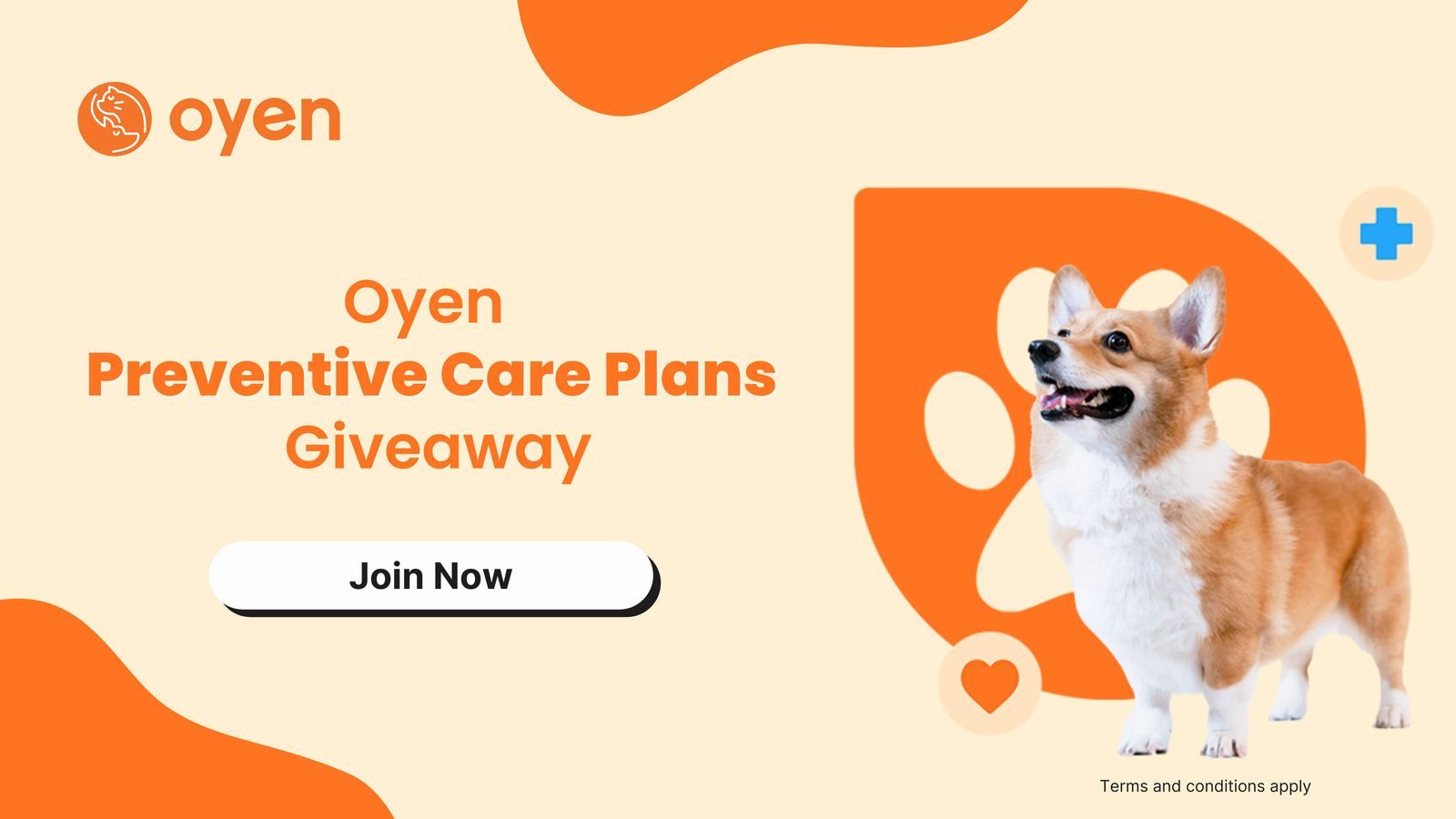 BFM Interviews Kevin, Founder of Oyen Pet Insurance