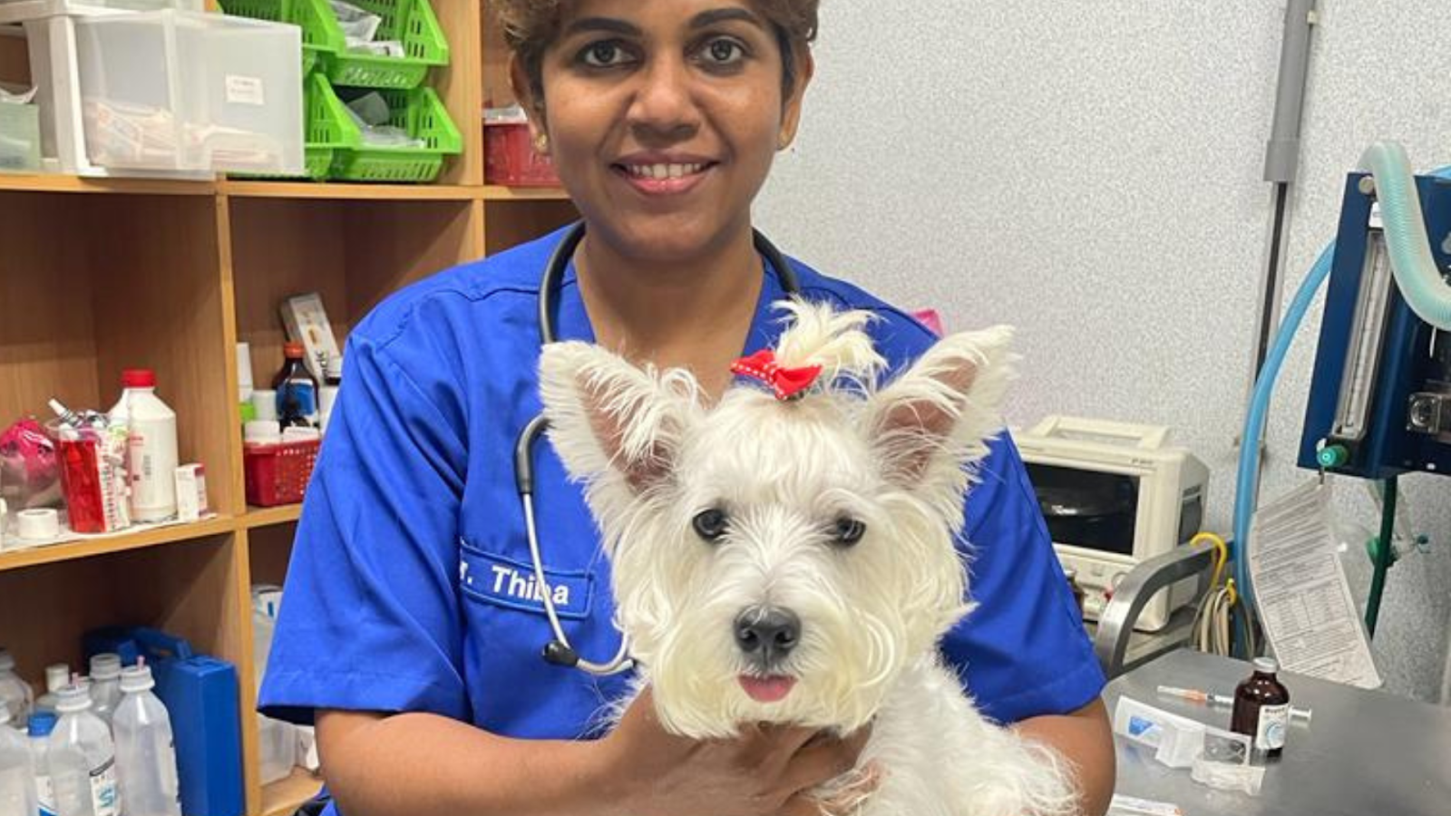 Oyen Pet Insurance interviews Dr Thiba