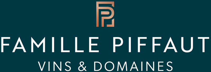 Domaine Andre Delorme Saint Sernin Du Plain
