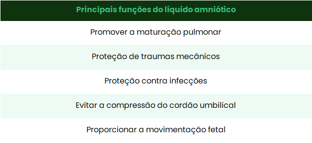 Tabela 1: principais funções do líquido amniótico. Fonte: Rezende Obstetrícia, 13ª edição, 2017
