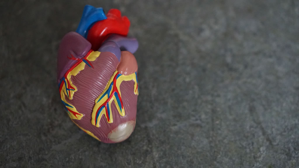 tipos de residência medica cardiologia