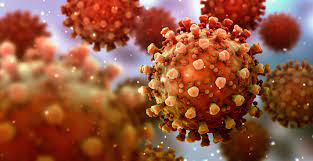 O coronavírus infecta todas as células do testículo, causa a epididimite e pode aumentar a infertilidade. Foto: Reprodução/Getty images/iStockphoto