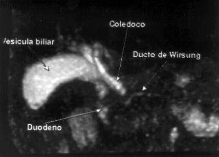 Exemplo de CPRM. Fonte: Revista da Associação Médica Brasileira