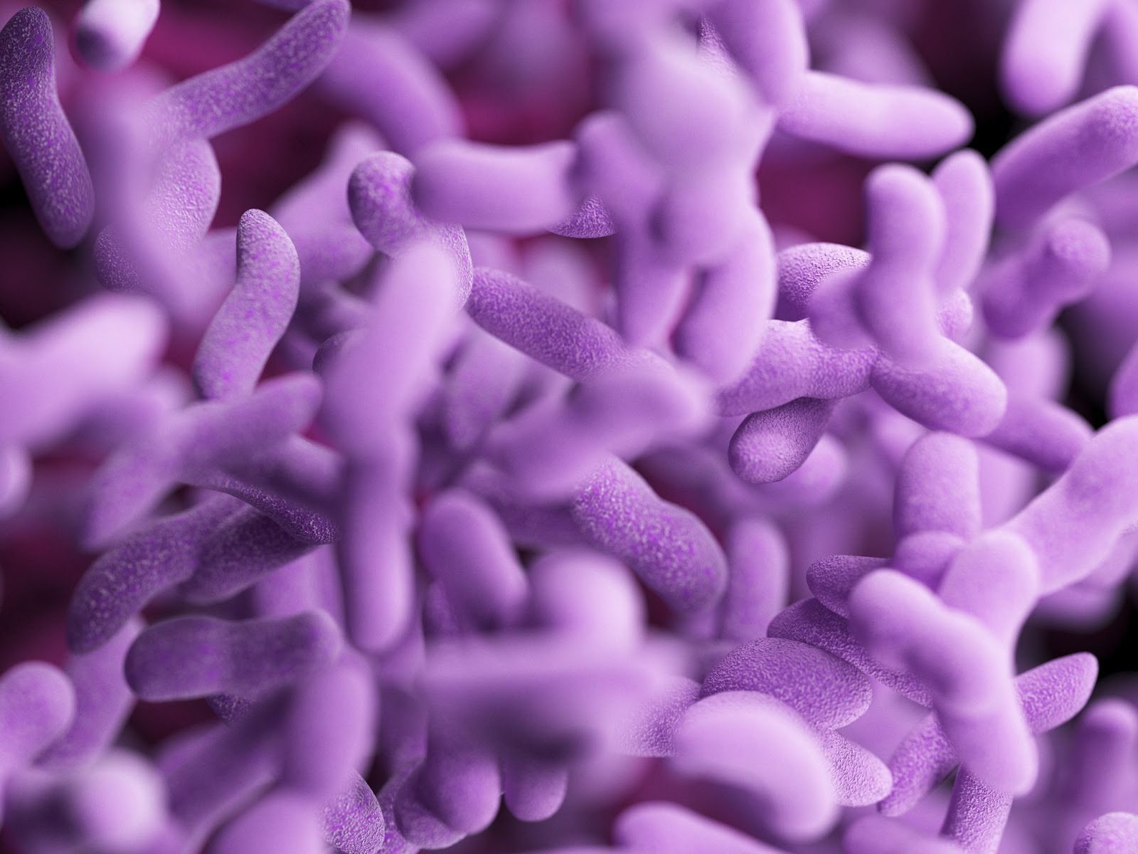 O desenvolvimento do microbioma intestinal começa ainda no útero e se estabelece aos dois anos de idade. Suas funções são sentidas por toda a nossa vida. Foto: Reprodução/Adobe Stock