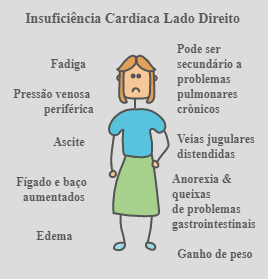 Sinais clínicos da insuficiência cardíaca direita. Fonte: Khan Academy (https://pt.khanacademy.org/science/health-and-medicine/circulatory-system-diseases/heart-failure/a/overview-of-heart-failure)