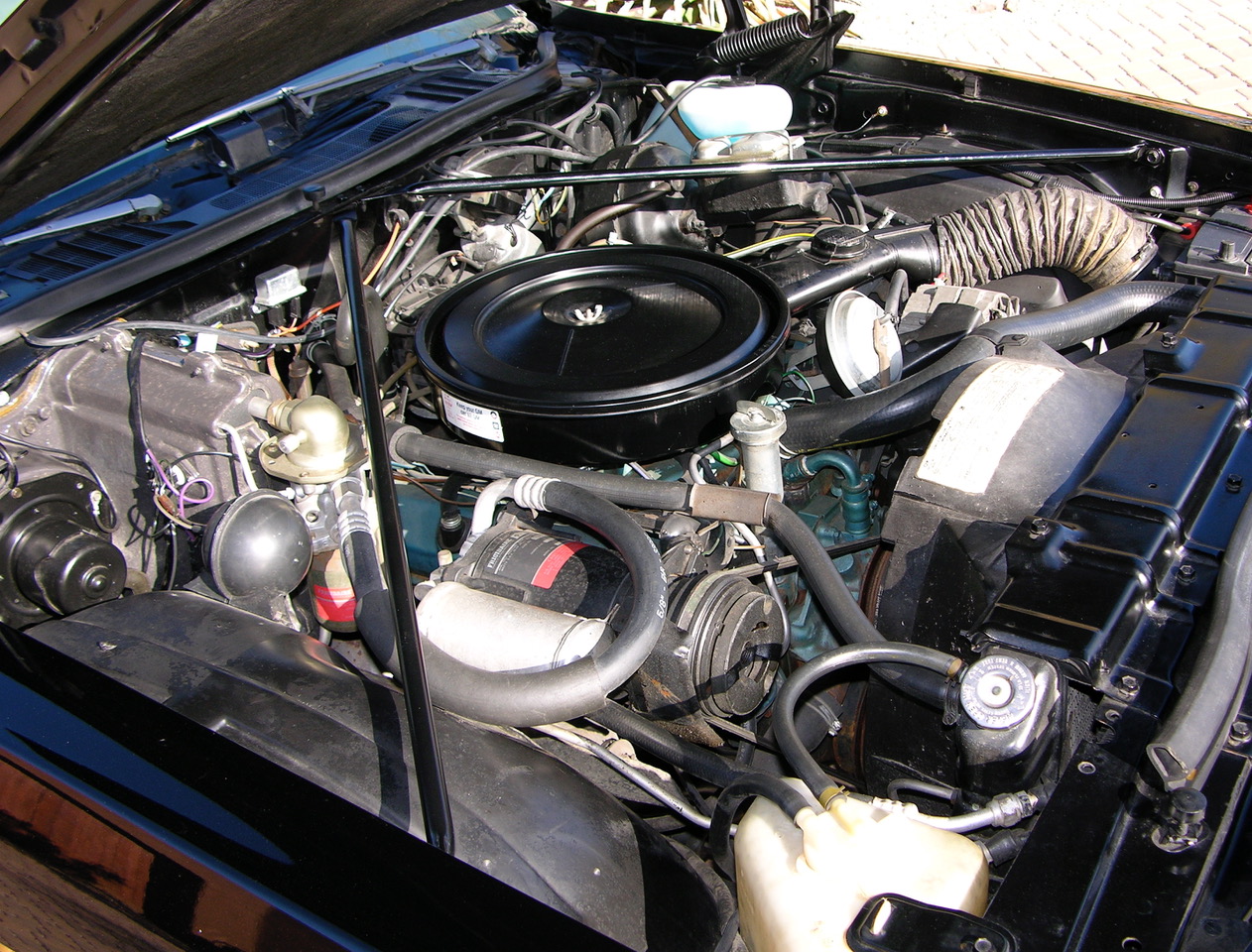 The Legendary Hurst/Olds